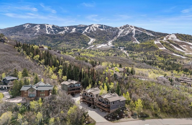 *NEW w/Discount!* Eagles Nest Chalet - Pet Friendly, Views, Hot Tub, Sauna, & Elevator