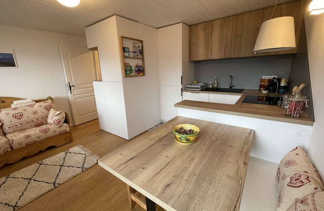 Newly renovated apartment - Panoramic Mont Blanc view