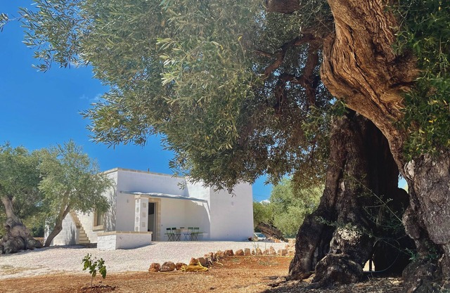 Newly renovated Lamia surrounded by olive trees and Mediterranean vegetation