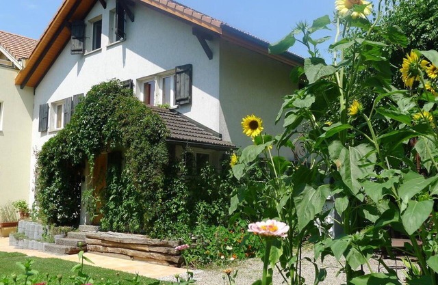 Nice apartment for 8 guests with WIFI and TV