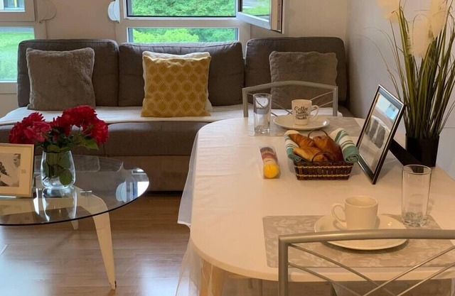 Nice Appartment 25 minutes to Paris