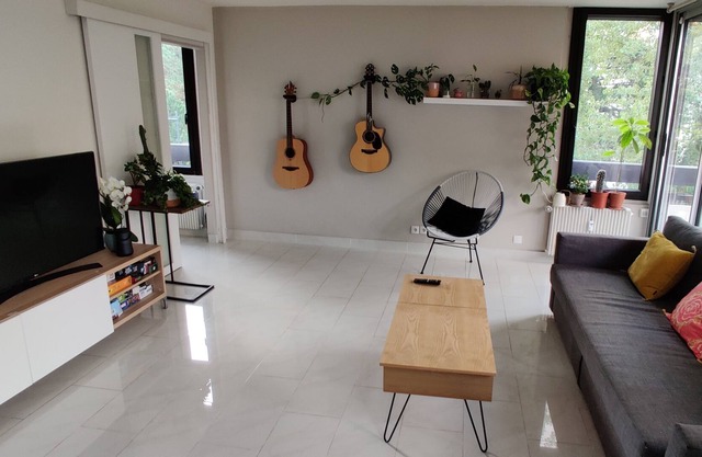 Nice flat near Paris and Disneyland (RER A and E Val de Fontenay).