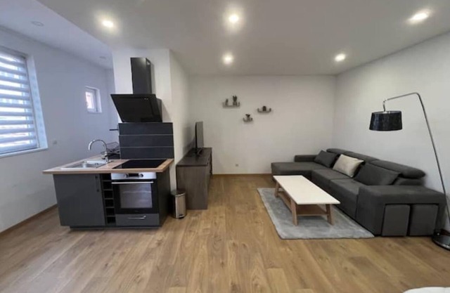 Nice furnished studio renovated