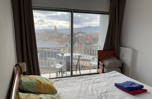 Nice one bed apartment, superb view, secure parking, 200 m from Colmar downtown