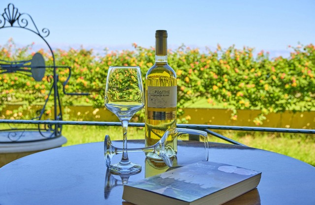 Nikos Kalamaki Corfu Studio 6