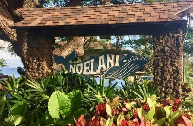 Noelani 202