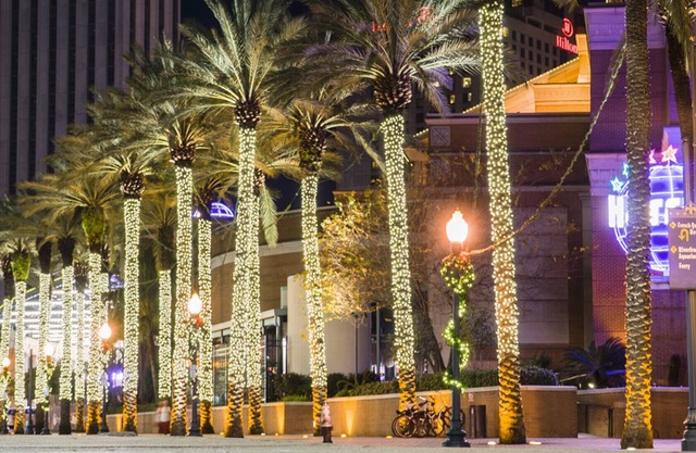 NOLA has ALL THE FESTIVITIES! SPACIOUS 1B/1B w/garage PARKING avail!