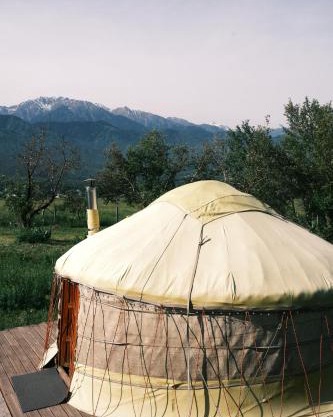 Nomad Yurt, 60 year old