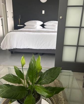 Nora's Place