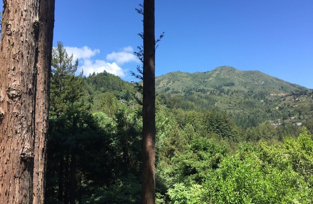 Now available! Beautiful Spacious, Private Mill Valley Home. Stunning view!