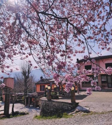 Nuovo Agriturismo Villa Enrichetta