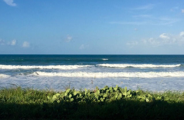 Ocean Blue at OPUS 21. Beautiful Oceanfront Beach house! New kitchen summer 2023