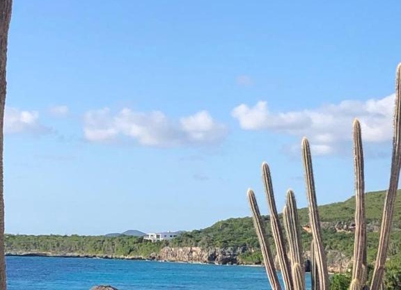 Ocean Front VillaDelMar-Beach Access-Private Pool-10 Guests-