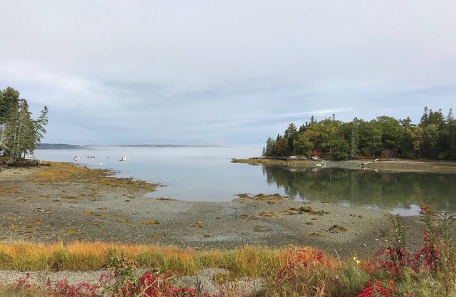 Oceanfront Cottage at Acadia National Park, Bar Harbor/Laughing Gull Cottage