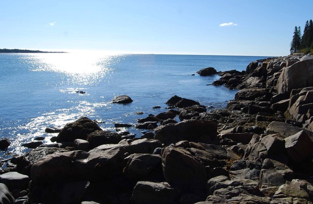 Oceanfront Home w/crashing surf in Schoodic/Acadia