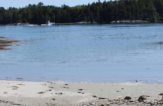 Oceanfront Private Beach! Family friendly, Multi-Generational House by Acadia!