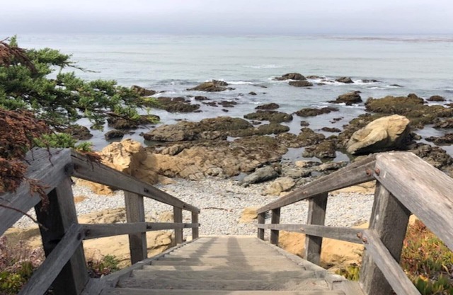 Oceanside Oasis - King Suite, Walk < 2 Short Blocks to Ocean & Tide Pools!