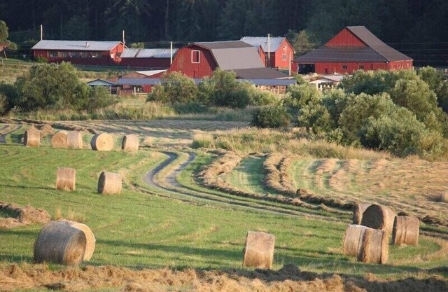October Farm Family Farm Stay