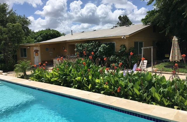 Omi's Bed and Breakfast Farm, Vineyard and Pool, Winter Texans welcome always