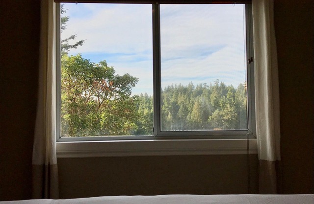 One bedroom, hilltop suite - beautiful and private!