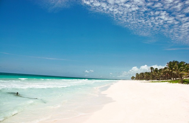 One of the only Beachfront Villas on the most sought after beach in Tulum!nn
