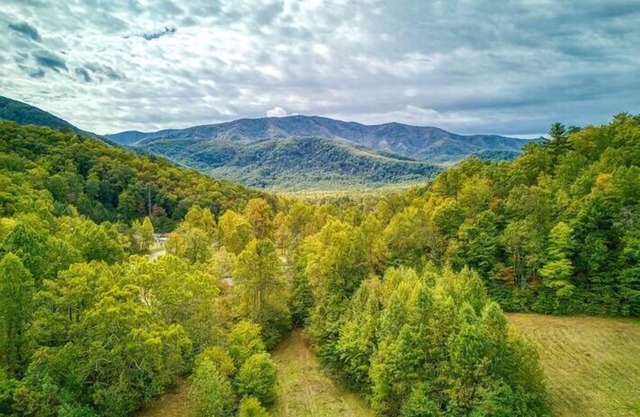 Open Sky Retreat, Pickleball Court, Creek, WIFI, Mountain Views, Starting at $79