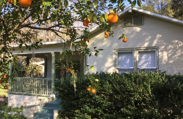 Orange Blossom in Historic McIntosh