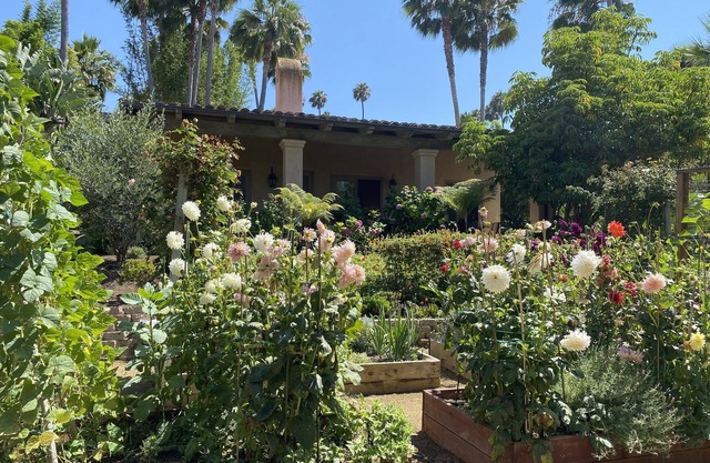 Orange Blossom Guesthouse - in the heart of Rancho Santa Fe, CA.