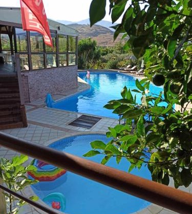 Orfeas Studios Molivos