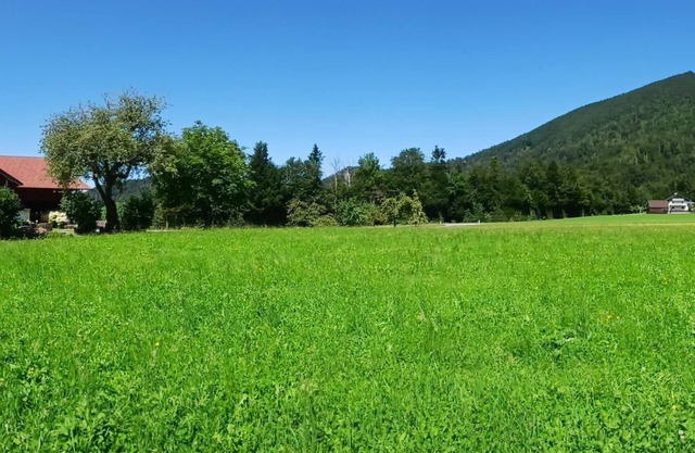 Organic Farm Vordergschwandtgut - Apartment