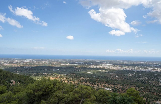 Ortensia House: tranquility and sea views in Selva di Fasano