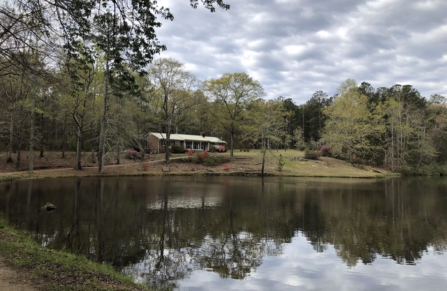 Our Family Pond House