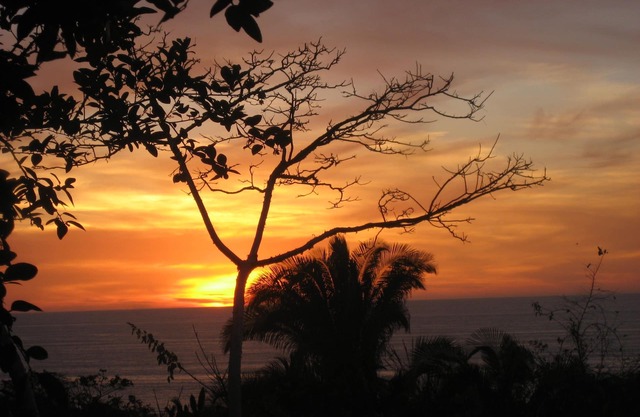 Palapa Papalillo by Selva del Mar