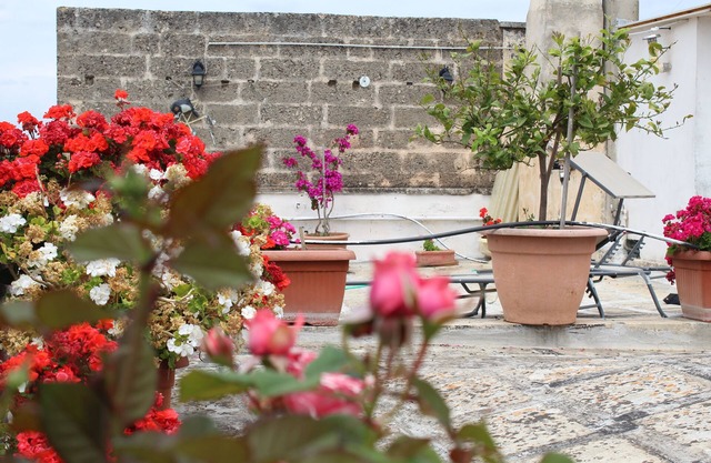 - Palazzo Retrò, with a terrace overlooking the historic center of Nardò -