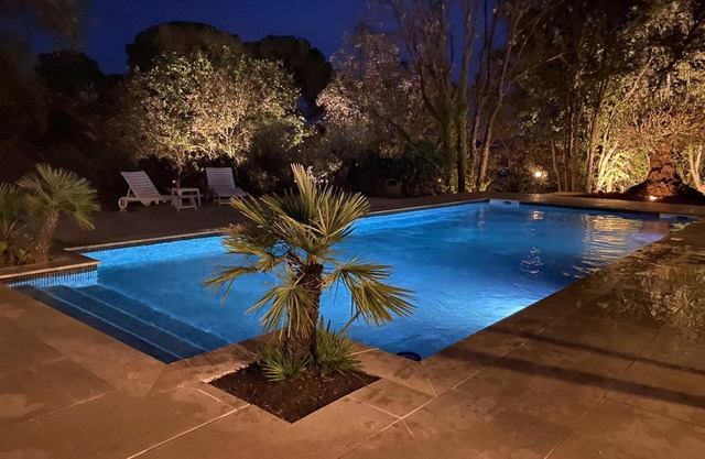 Palm tree cottage with pool in Taradeau