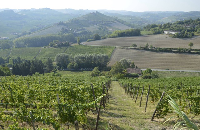 PANORAMIC VIEW, RELAXING, BIKE, FINE-FOOD, WINE AND MORE. Bed & Breakfast in Alba