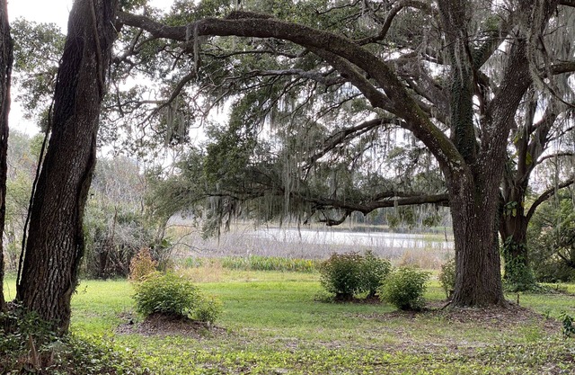 Paradise @ Lady Lake Minutes from the Villages, Ocala Forest, & Florida Springs.