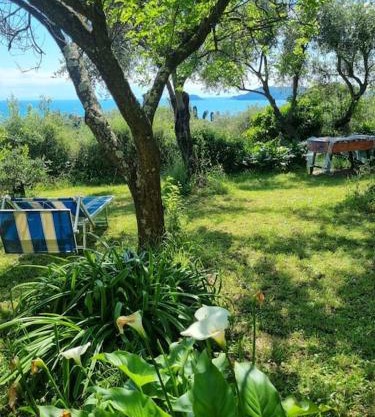 Patty's Cottage with private PARKING