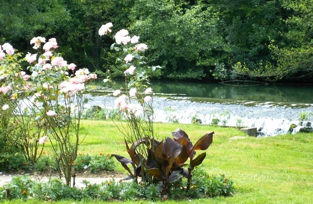 Peace and quiet on a private island in a bucolic setting.