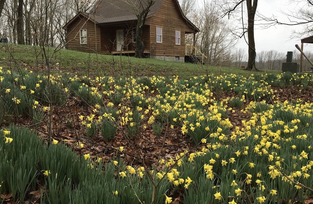 Peace, quiet and nature at your back door