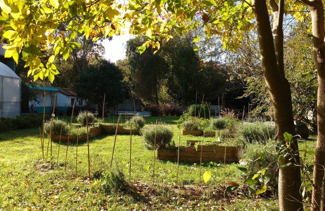 Peace & quiet place. Vegetable garden.