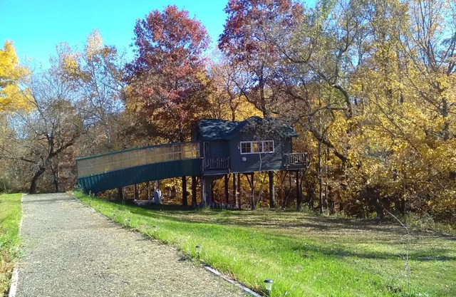 Peaceful Valley Haven Tree House