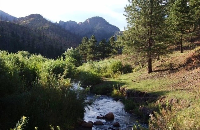 "Peaceful Valley Homestead" Hobby Farm & Mountain Paradise NEW HOT TUB!n
