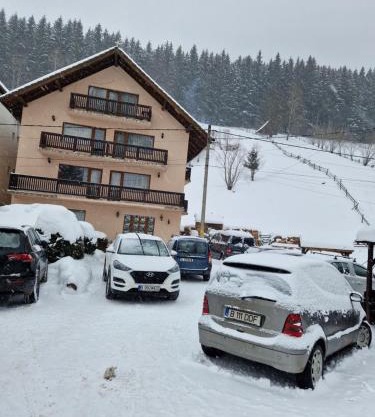 Pensiunea Bradul,Moieciu de Sus