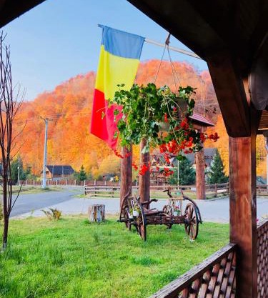 Pensiunea Ovidiu&Paula