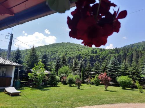 Pensiunea Putnisoara