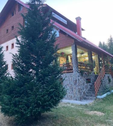 PENSIUNEA SIMONA ARIESENI