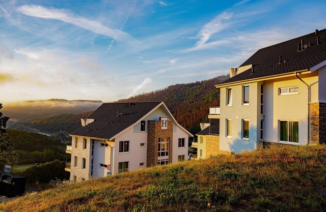 Penthouse in Eifel with Sauna and Balcony