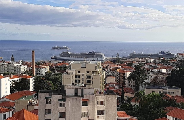 PentHouse in Funchal Sea View