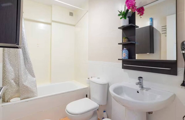 Penthouse with large roof malaga center